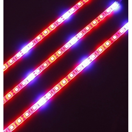 Plants Grow LED rigid strip light