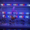 Aquarium light Bar 20W L500*W26mm